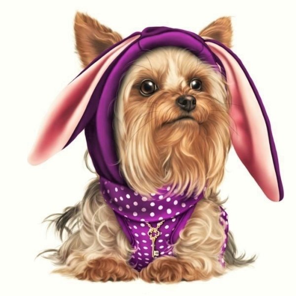 Собака в одежде мультяшная