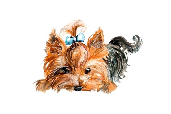 Йорк картина карандашом