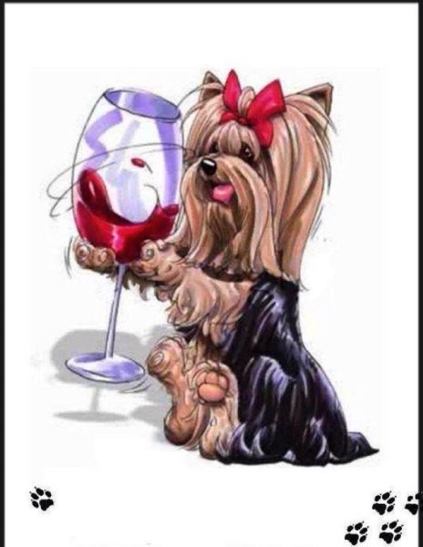 Открытки с днём рождения с йоркширским терьером