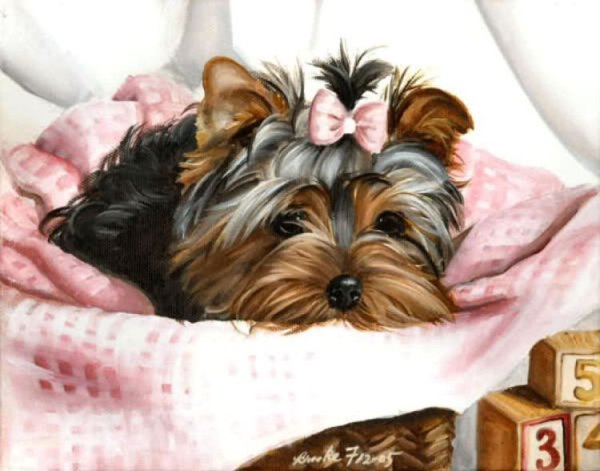 Йоркширский терьер картина