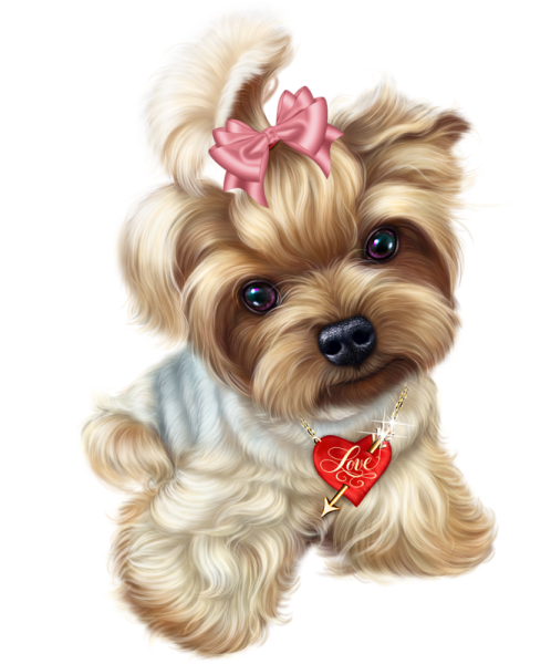 Смайлы терьер Йоркширский