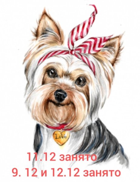 Нарисованный Йоркширский терьер в мультяшном стиле