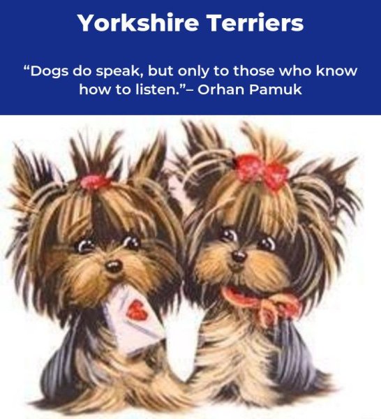 Йорки рисунки смешные