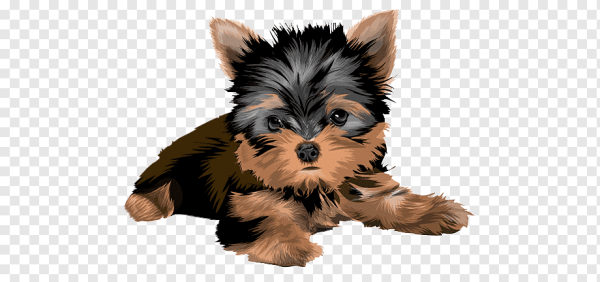 Йоркширский терьер мультяшный