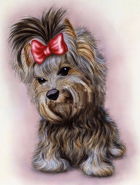 Алмазная живопись Йорк