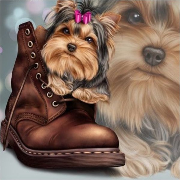 Йоркширский терьер открытка