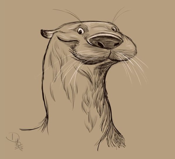 Выдра набросок