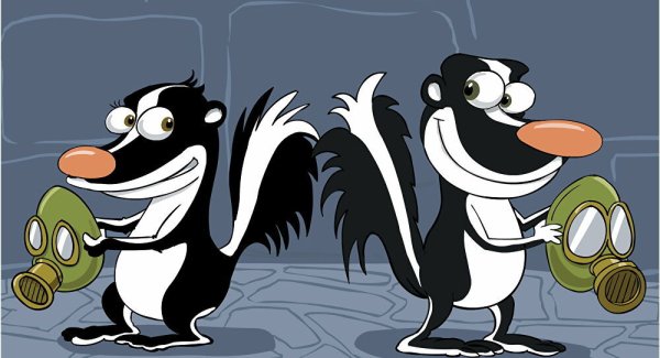 Скунс прикольный