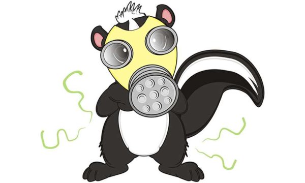 Смешные скунсы