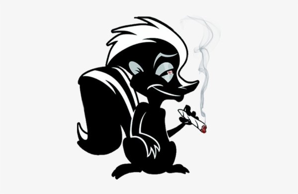 Skunk спайси скунс