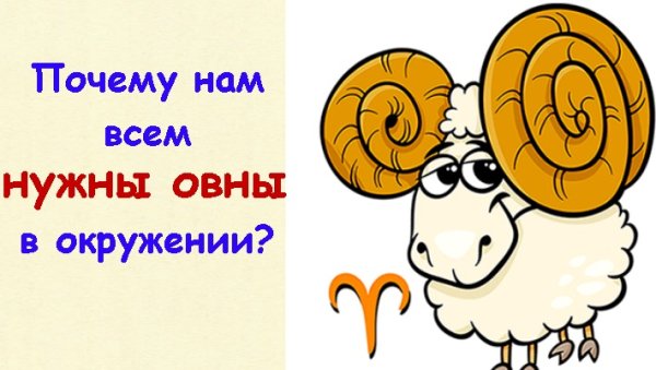 Овен прикольные картинки