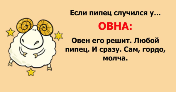Шутки про Овнов