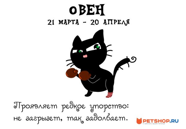 Кошачий гороскоп