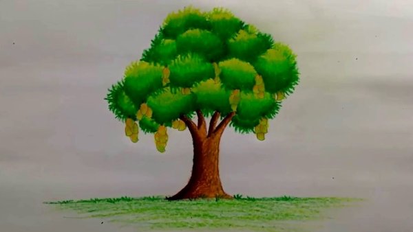 Дерево картинка для детей