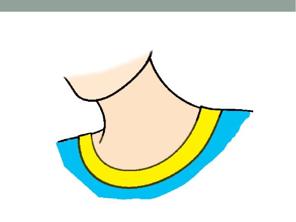 Шея рисунок для детей