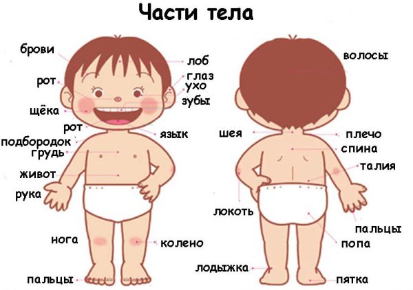 Контур женского и мужского лица