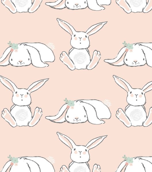 Кролик вид сверху