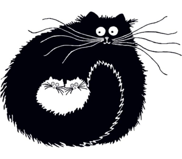 Кот Графика