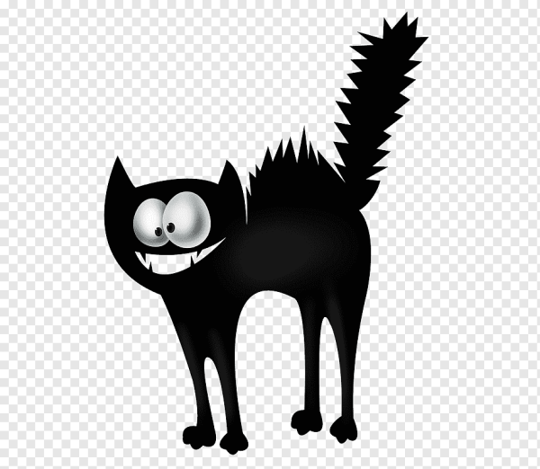 Черный кот взъерошенный