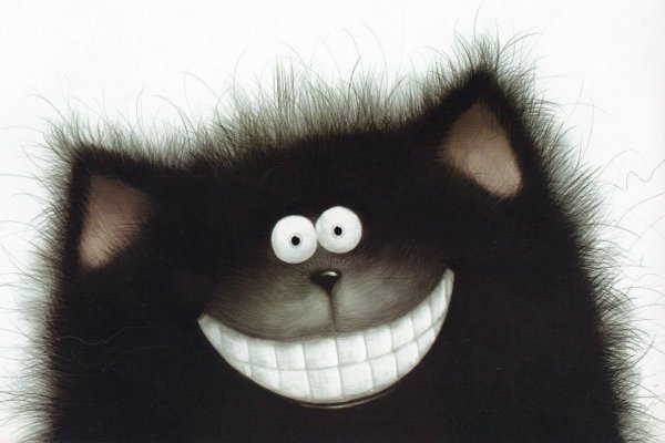 Черный кот с улыбкой