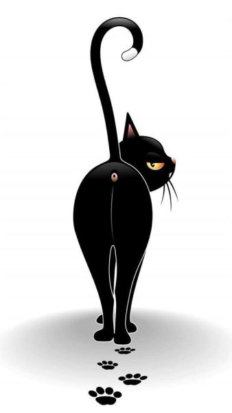 Изящная черная кошка