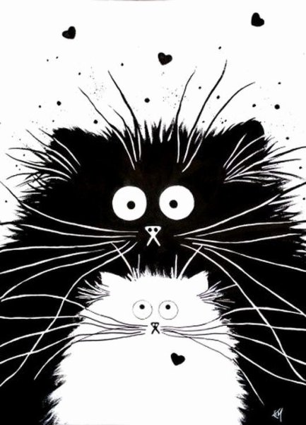 Забавные коты Графика