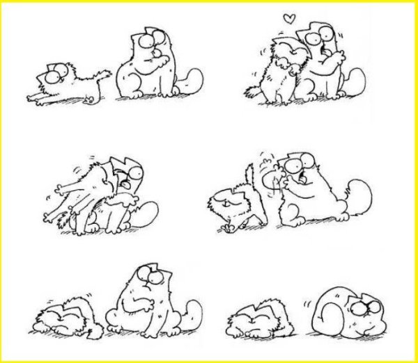 Кот Саймон любовь