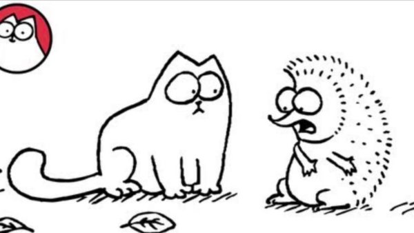 Кота Саймона и котейка