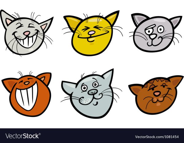 Мордочка кота с разными эмоциями