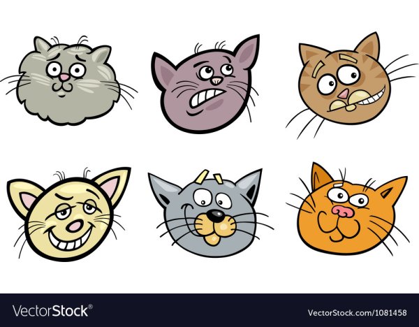 Смешная Кошачья морда рисунок