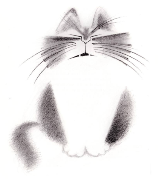 Морда кота Графика