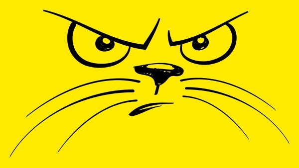 Злая мордочка