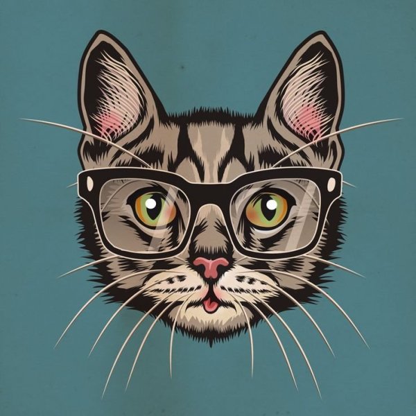 Кошачья морда арт