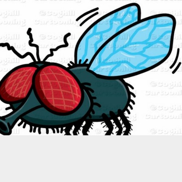 Муха с большими глазами мультяшка