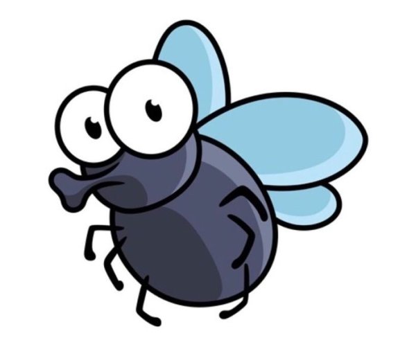 Муха детский рисунок