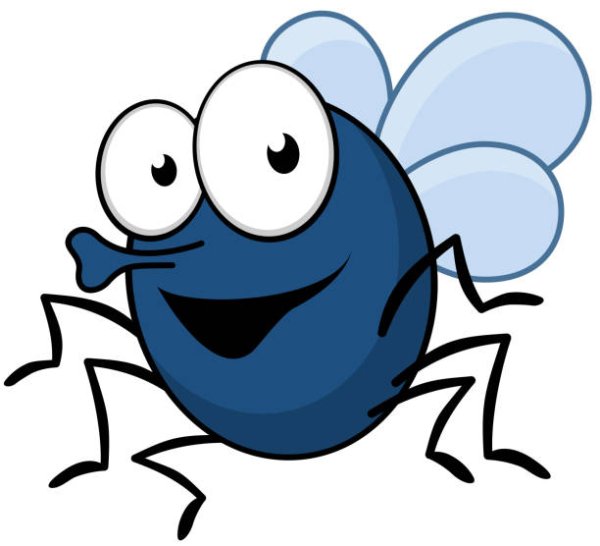 Муха улыбается