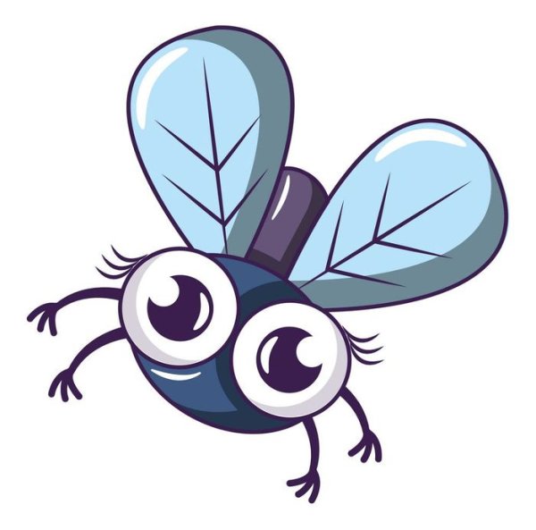 Муха картинка для детей