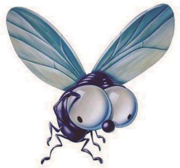 Муха мультяшная