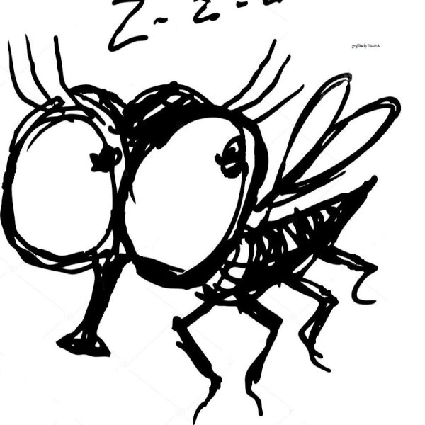 Сонная Муха