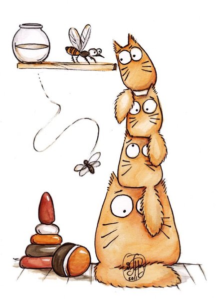 Maria van Bruggen смешные коты