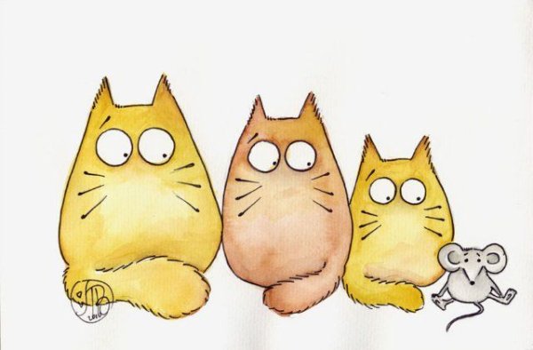 Кот Марии Ван Брюгген