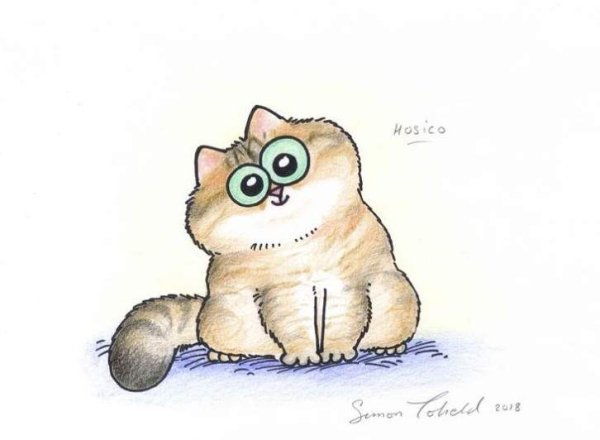 Котики смешные рисунки