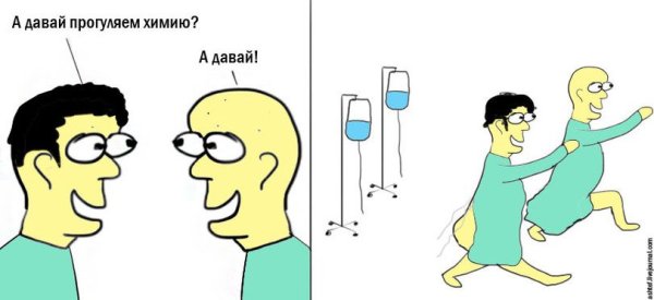 А давай прогуляем химию