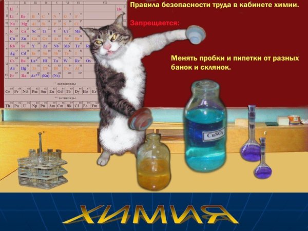 Правило в кабинете химии
