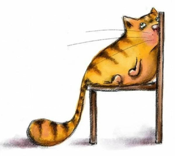 Следуй за своей мечтой иди спать