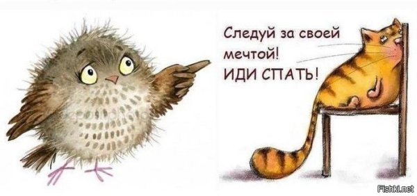 Идём спать картинки прикольные