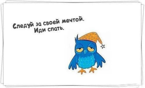 Кто куда а я спать