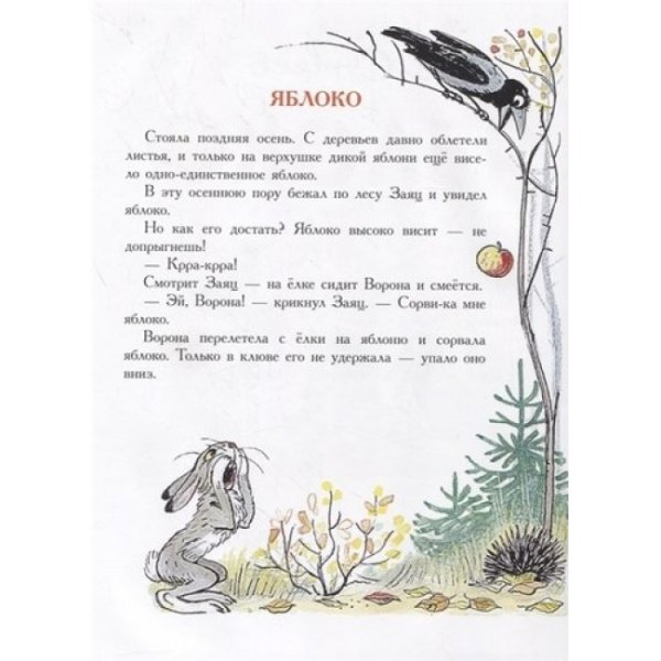 Владимир Сутеев "яблоко"