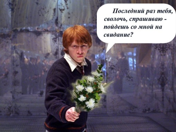Гарри Поттер и Рон приколы