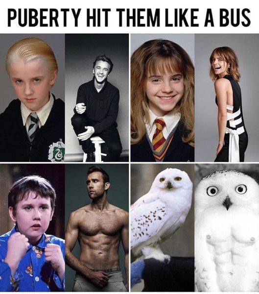 Гарри Поттер мемы